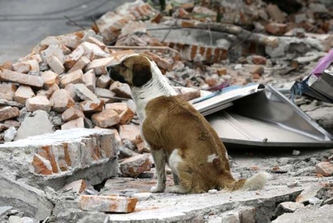 Deprem kahininden Türkiye için kritik uyarı! galerisi resim 15