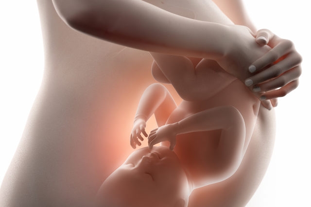 Tüp bebek ile doğal bebek arasındaki fark nedir ?  Sağlık açısından sıkı galerisi resim 7