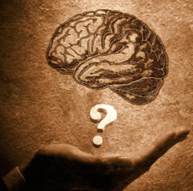 Beyninizin içinde ne var? Nasıl çalışıyor? galerisi resim 7