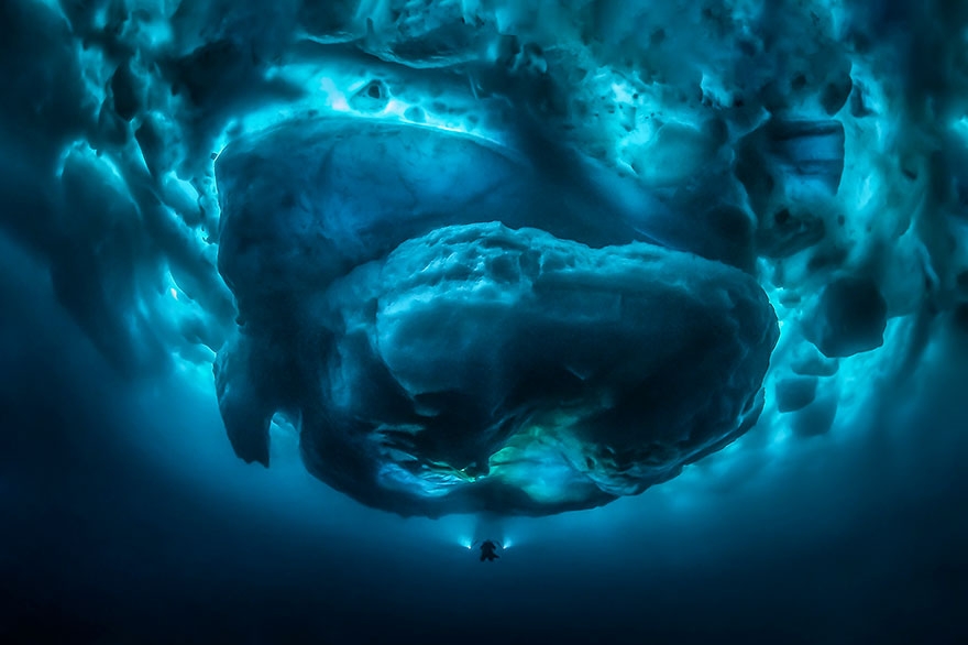 Okyanus'un altından ödüllü fotoğraflar galerisi resim 7
