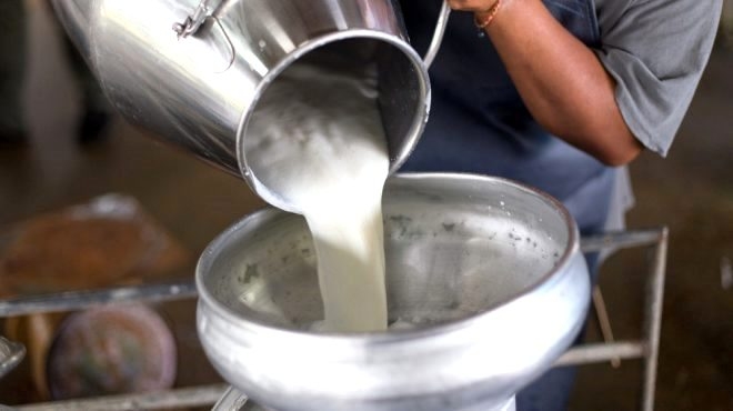 ABD'li araştırmacı: Süt, tükettiğimiz en zararlı gıdalardan biri galerisi resim 3
