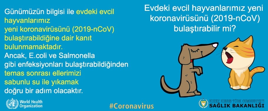 Sağlık Bakanlığı yayınladı: Korona virüsünden nasıl korunuruz? galerisi resim 2