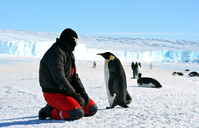 Corona'nın olmadığı Antarktika'daki 4 bin kişi krizi uzaktan i galerisi resim 6