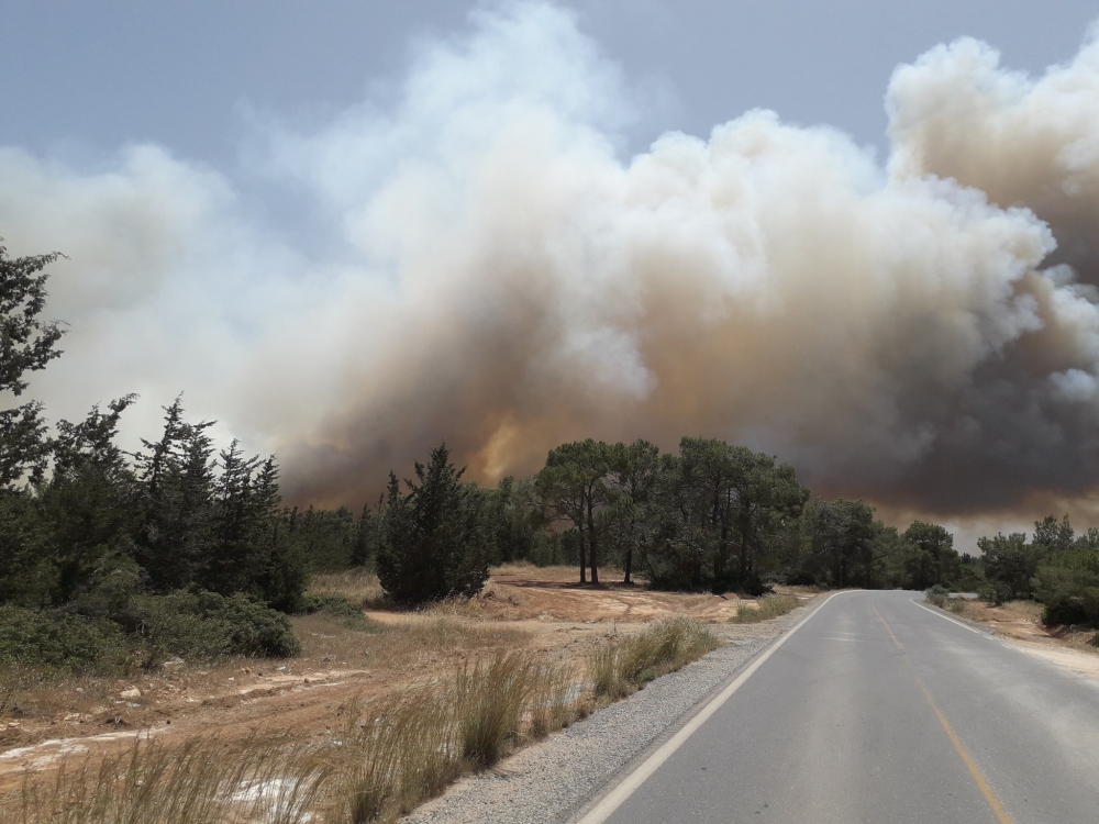 Kuzey Kıbrıs yanıyor, inanılmaz görüntüler galerisi resim 4