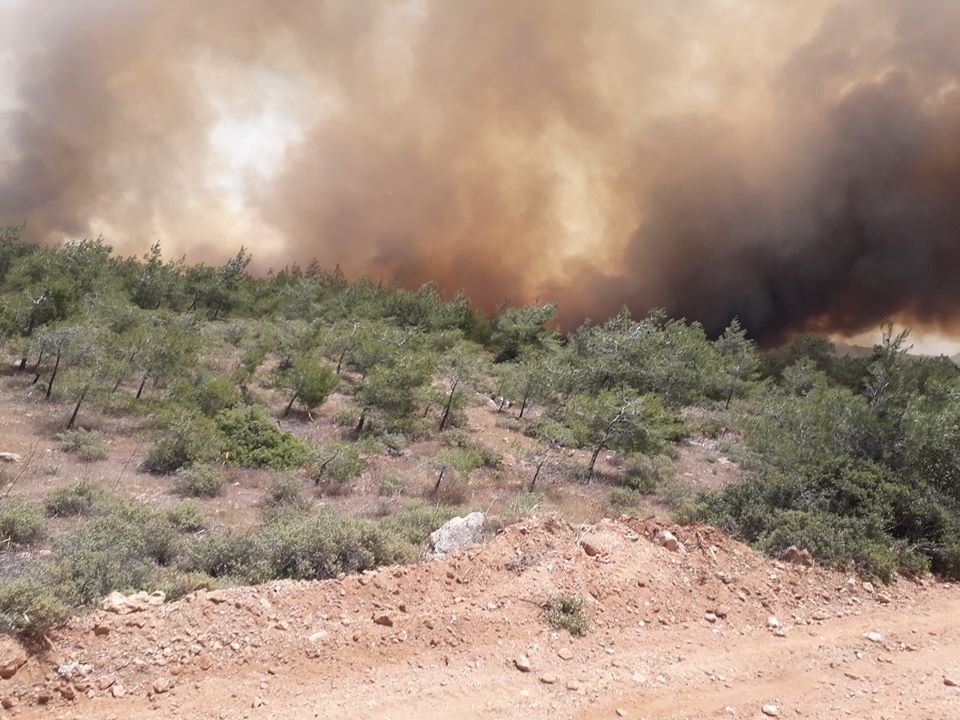 Kuzey Kıbrıs yanıyor, inanılmaz görüntüler galerisi resim 5