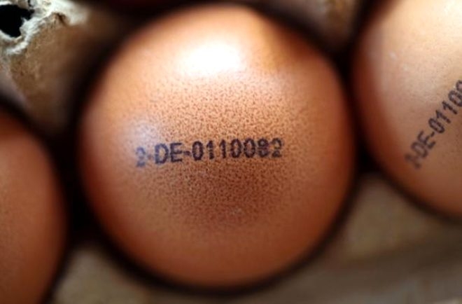 Yumurta alırken bu koda dikkat! 3 numara yazıyorsa bir kez daha düşünün galerisi resim 10