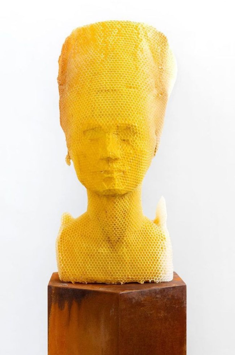 Slovak sanatçı 60 bin bal arısıyla Nefertiti büstü yaptı galerisi resim 5