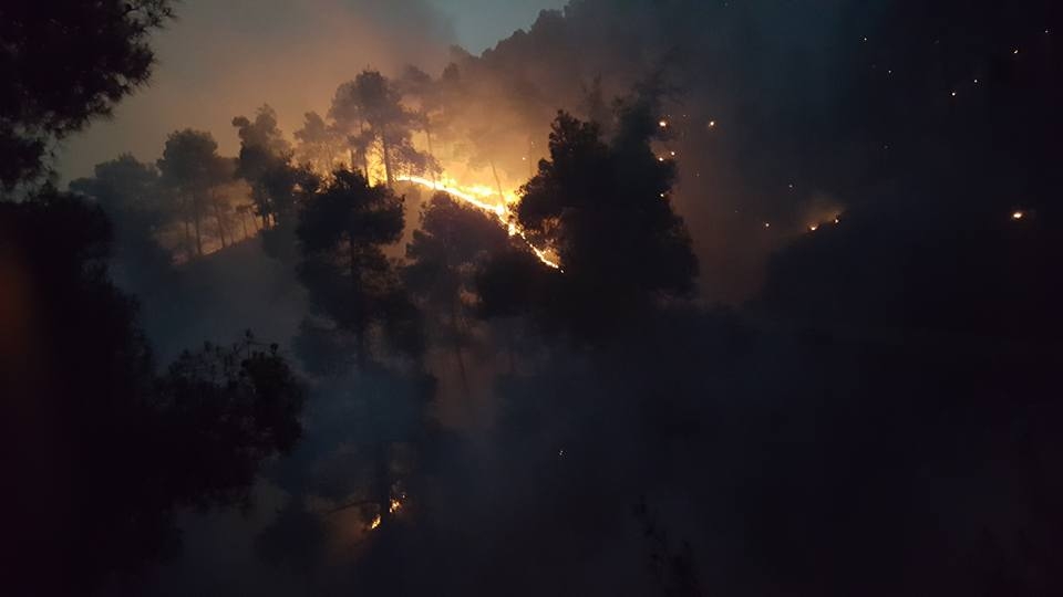 Yangın 2 can aldı. İşte Trodos'taki büyük yangından fotoğraflar galerisi resim 6