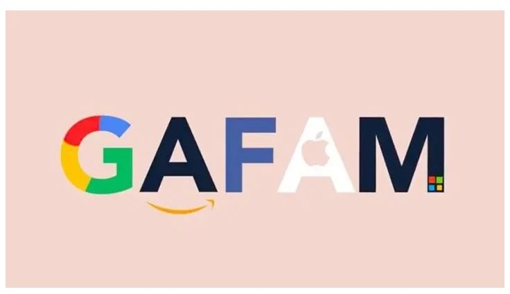 Yerli ve milli 'GAFAM' sosyal medyada gündem oldu: Ama GAFAM&# galerisi resim 2