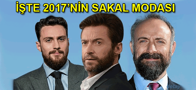 2017 için birbirinden farklı sakal tipleri! galerisi resim 1