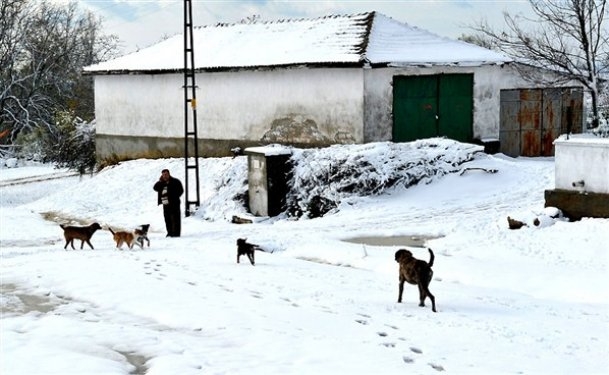 Türkiye'den kar manzaraları galerisi resim 11