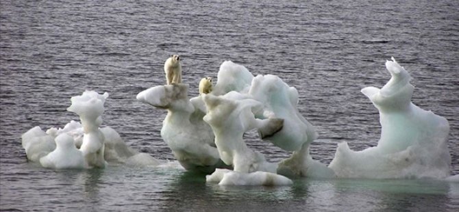 Kuzey Buz Denizi'nde 2050'ye Kadar Yaz Mevsiminde Buzullar Yok Olabilir