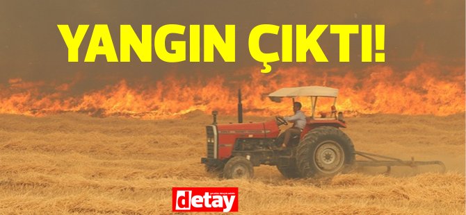 Platres’te Yangın