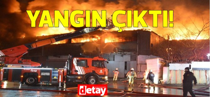 Lefkoşa'da ev yangını