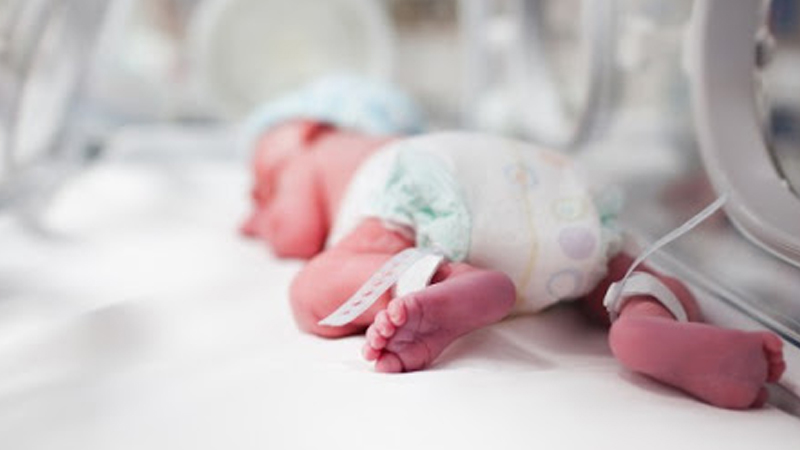 Fransa'da bir kadın altız bebek dünyaya getirdi