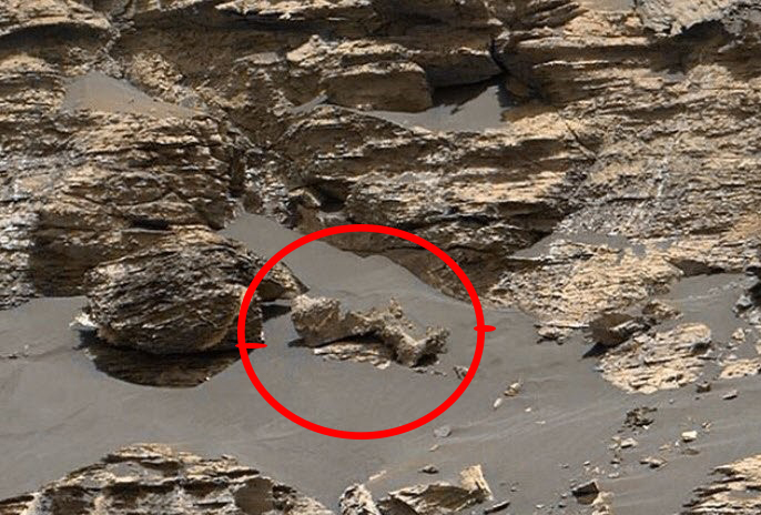 NASA'nın çektiği fotoğraf, Mars'ta hayat olduğunu kanıtladı