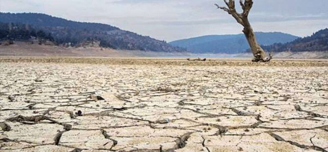 Çölleşme, dünyada 1,5 milyar insanın hayatını doğrudan etkiliyor