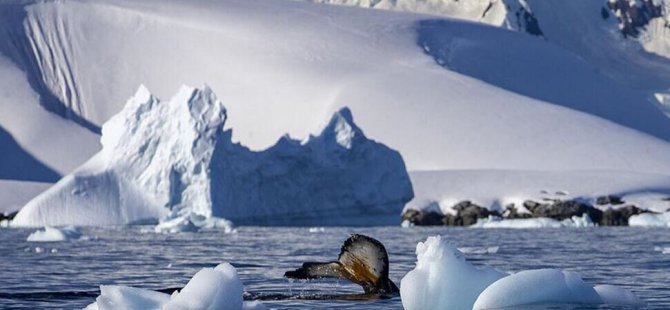 Güney Kutbu'nda sıcaklık küresel ortalamaya göre üç kat daha fazla artıyor