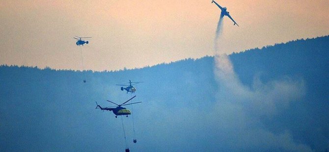 Gelibolu Yarımadası'ndaki orman yangınına havadan müdahale yeniden başladı