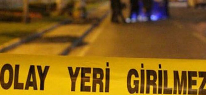 Annesini ve ablasını öldüren eniştesini 20 yıl sonra öldürdü