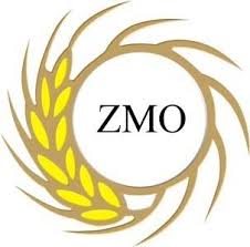 ZMO, Fare Popülasyonu İle Mücadele Başlatılması Gerektiğini Vurguladı
