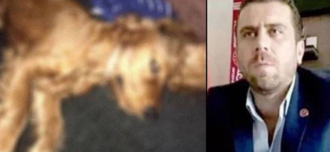 Komşusunun köpeğine tecavüz ederek, öldürdüğü öne sürülen Volkan Uzun serbest bırakıldı