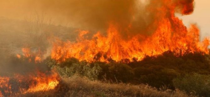 Limasol – Baf Sınırında Dün Çıkan Yangın Bu Yazın En Büyük Yangını…