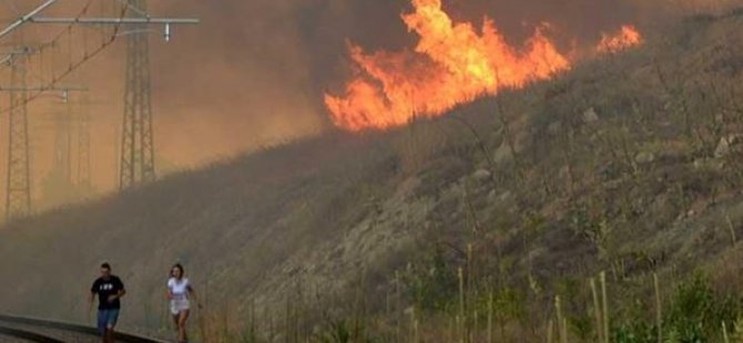 Bulgaristan-Türkiye Sınırında Yangın…