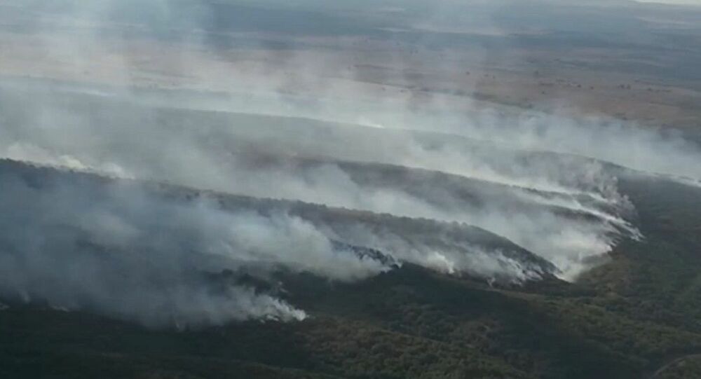 Bulgaristan-Türkiye sınırındaki yangın kontrol altına alındı