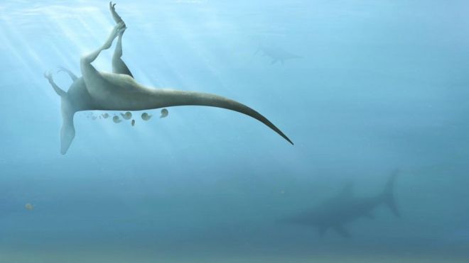 Vectaerovenator inopinatus: İngiltere'de T-Rex'in kuzeni yeni bir dinozor türü keşfedildi