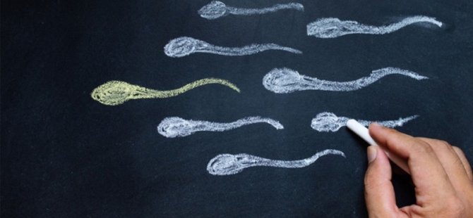 Sperm kalitesi salgın döneminde arttı
