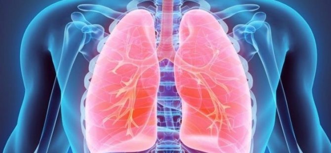 Akciğer enfeksiyonu: Nedenleri, belirtileri ve tedavi yöntemleri