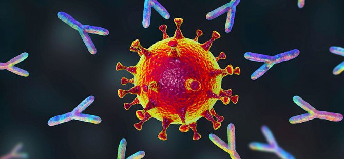 Corona virüse karşı "yüksek etkili" antikor bulundu