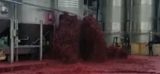 İspanya’daki şaraphanede tank patladı: 50 bin litre kırmızı şarap çevreye yayıldı