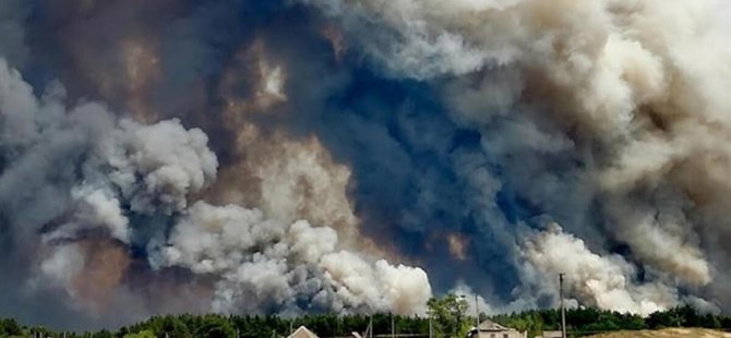 Ukrayna'nın doğusundaki orman yangınlarında 9 kişi öldü