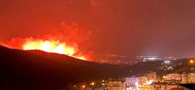 Hatay'daki yangın bölgesinde maden projesi yapılacağı ortaya çıktı!