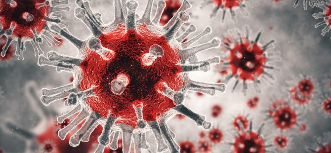 Son Dakika: Bilim insanları uyardı! Koronavirüs benzeri yeni virüs: SADS-CoV