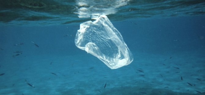 Akdeniz'de plastik facia uyarısı