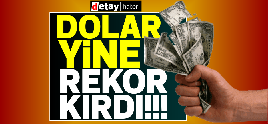 TL eriyor; dolar, 11,30 TL'yi aştı