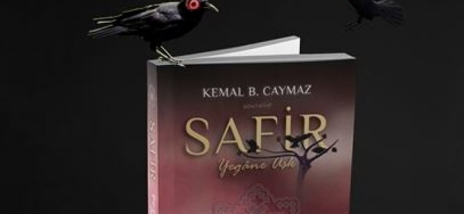 Safir Serisinin İlk 2 Kitabı Çıktı