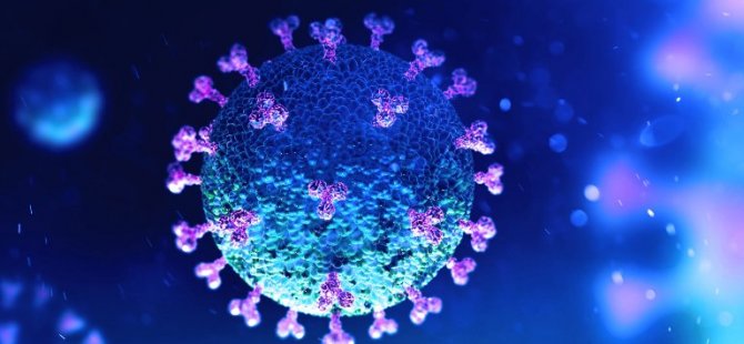 Ανάδοχος  Δρ.  Πολεμιστής: ο ιός προκαλεί στειρότητα στους άνδρες