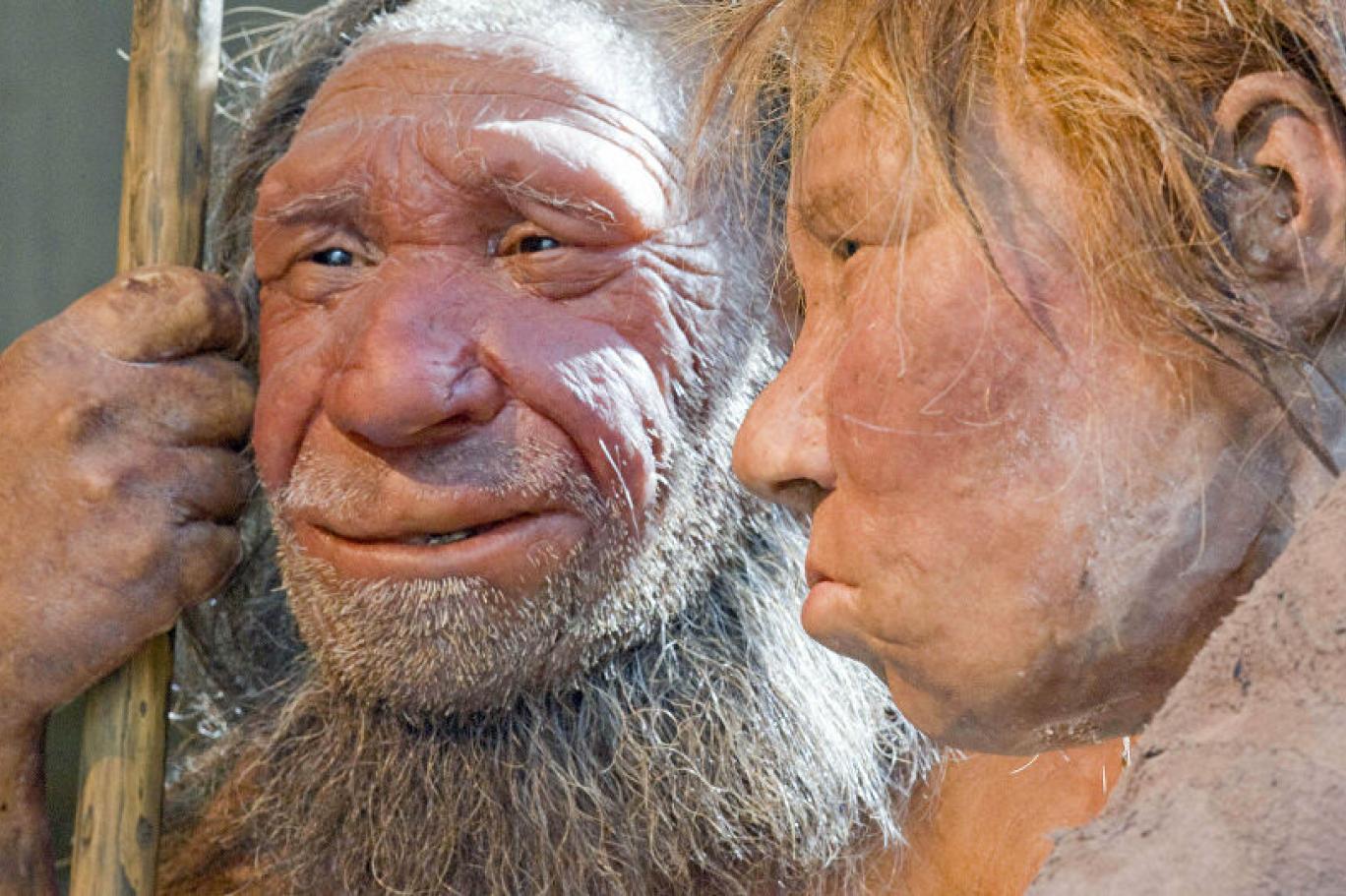 Neandertallerin çekici kolayca kavrayabileceği ama kalem tutmakta zorlanacağı ortaya çıktı