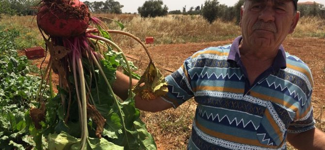 Slow Food Salamis 10 Aralık Terra Medra Toprak Ana Günü’nü Kutladı