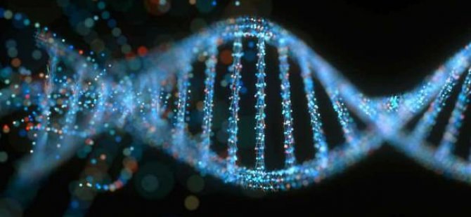 İnsan DNA'sındaki 5 genin koronavirüs ile bağlantısı ortaya çıktı
