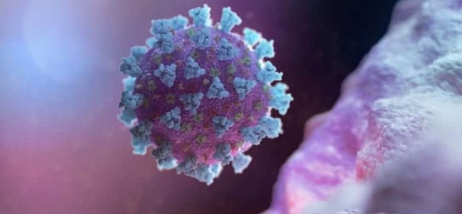 Mutasyona Uğrayan Koronavirüse İlişkin Yeni Bilgi