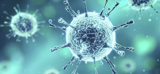 Uzmanlara göre yeni tehlike mutasyonlu Kovid-19 virüsü