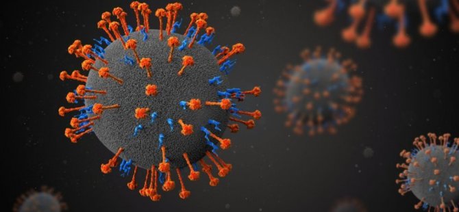 Bilim insanlarından Nipah virüsü uyarısı: Her an patlayabilir