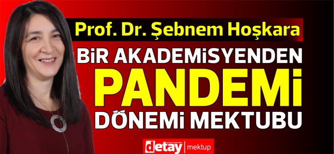 Prof. Dr. Şebnem Hoşkara yazdı... Bir DAÜ Akademisyeninden Pandemi Dönemi Mektubu