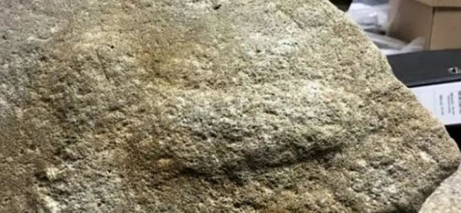 İngiltere'de penis motifli 2000 yıllık değirmen taşı bulundu