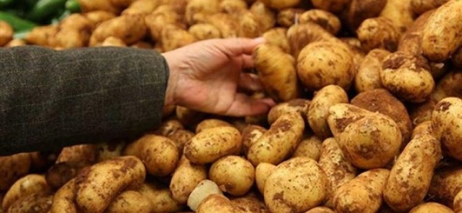TÜK: Yeni ürün sofralık patates satışları devam ediyor